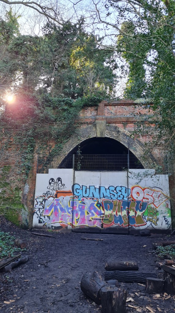 The brilliant northern portal of the Crescent Wood tunnel has been maintained, and has found use as a bat sanctuary.