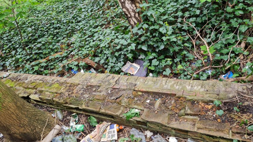 Alternate shot of the platform at Mill Hill (The Hale) halt.