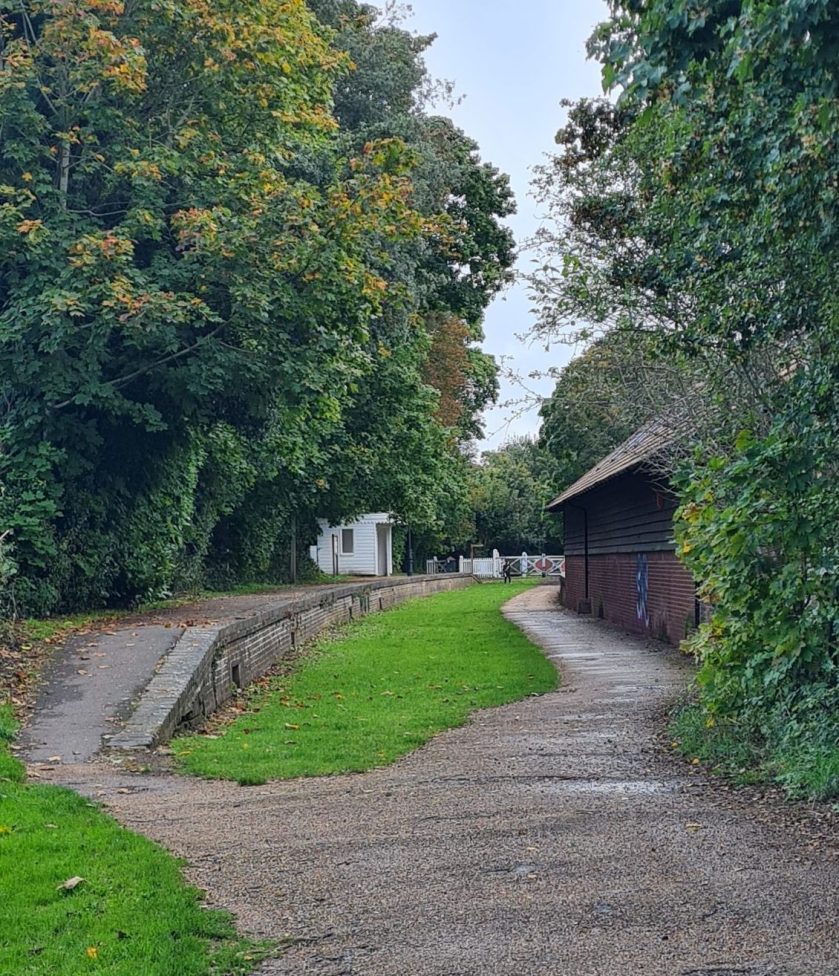 Looking south, Bramley & Wonersh station is ahead. To the left of the shot is the surviving southbound platform.