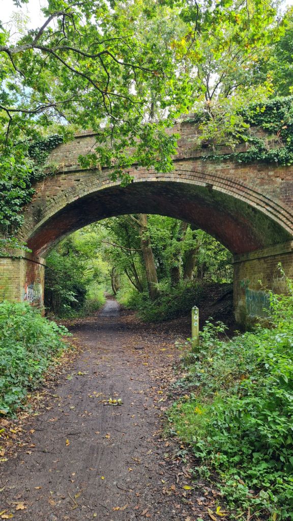 Looking straight down the path. In the near background is a brick road bridge, which the railway would have travelled under.