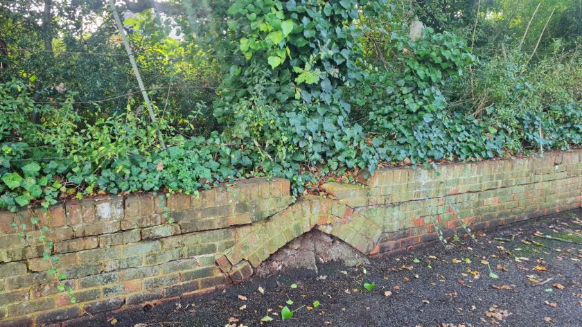 A low wall is in the foreground, in front of an overgrown patch of trees.